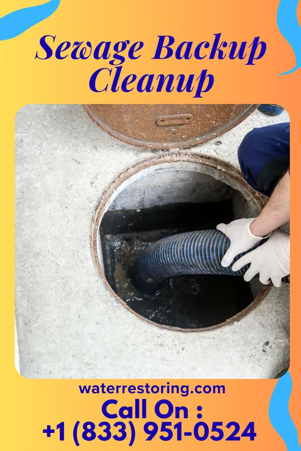 Sewage Backup Cleanup in Philipsburg, MT